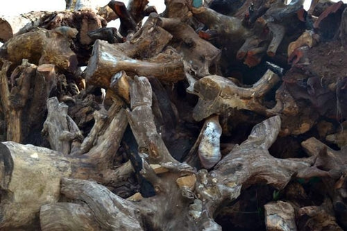 Handcrafted Natural Wood Root Ashtray