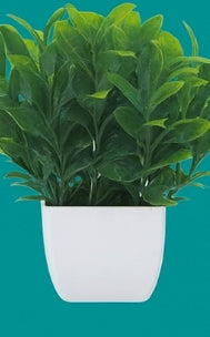 Evergreen Miniature Botanical Set – Artificial Potted Plants (Set of 6)