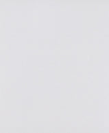 Verdant Duo Petite Botanical Set – Artificial Potted Plants (Set of 2), Multi-Colour