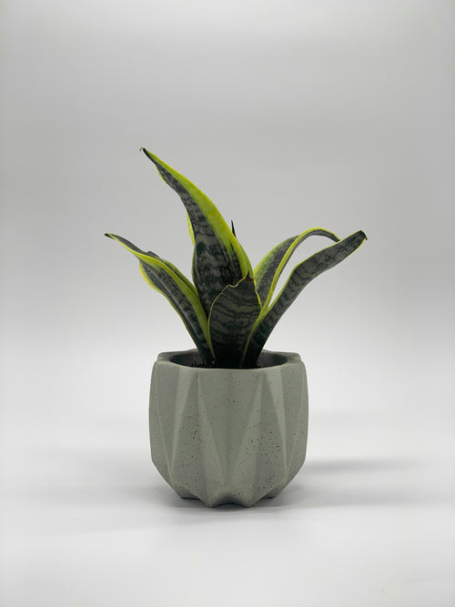 Folded Geometry Artisan Concrete Planter