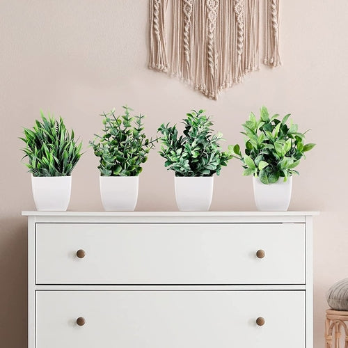 Evergreen Quartet Mini Botanical Set